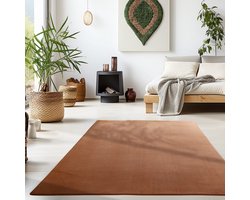 Binnenkleed, bruin van kleur, voor de woonkamer, comfortabel, natuurlijke uitstraling, geschikt voor dagelijks gebruik, wasbaar. 160x230 cm