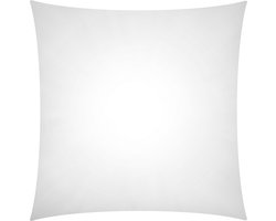 Binnenkussen 60x60 cm - polyester kussenvulling 700 gram - tijk 100% katoen