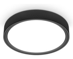 B.K.Licht - Plafondlamp - zwart - plafonniére met 1 lichtpunt - Ø25cm - 4.000K - 1.200Lm- 12W