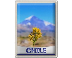 Blechschild Reise 30x40cm Chile Blume Gebirge Urlaub
