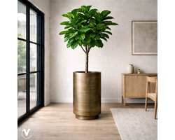 Bloem - plantenpot | Potosi | aged brass | Ø40 x H80 cm