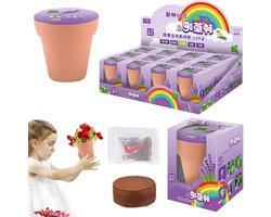 Bloemen Kweekset - Zelfgroeiende Plantenbak - Kinderen Leren Tuinieren - Educatief Ontwikkelingsspeelgoed - 7.6 x 7.6 x 8.6 cm - Willekeurig