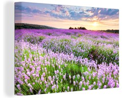 Bloemen Schilderijen Canvas - Bloem - Natuur - Paars - Lucht - Zon - 120x80 cm - Schilderijen op Canvas - Wanddecoratie