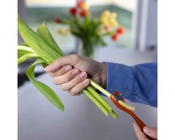 Bloemensnijder en Bloemenverzorging - Tuinaccessoires in Oranje