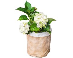 Bloempot Betonlook - Plantenbak Decoratie - Buiten Decoreren - Linnen Weefpatroon - 24x21x29cm - Bruin