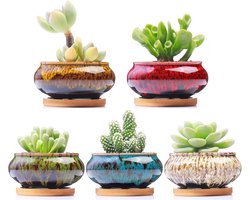 Bloempot - Bloempotten - Bloempot voor Buiten - Plantenpot - 5-Delige Schattige Keramische Succulenten Potten Met Afvoer en Onderzetter – Bloempotten Set Ø10cm Zonder Planten
