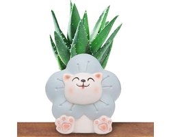 Bloempot Hars - Decoratieve plantenbak - Kamer Decoratie - Schattige Dieren Vormen - 9 x 7.5 x 9 cm - Multicolor