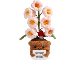 Bloempot oplossing - Decoratie - Gehaakte bloem - Persoonlijk cadeau - Voor feestdecoratie - Bloempot - Gehaakte plant - Gehaakte pop - Wollen pop - Gehaakte bloempot - Voor decoratie - Natuurlijke uitstraling