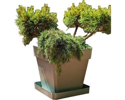 Bloempot Riviera Bruin 50 x 50 cm