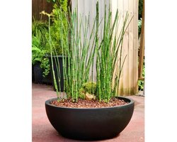 Bloempot Riviera RIVIERA Zwart Ø 40 cm