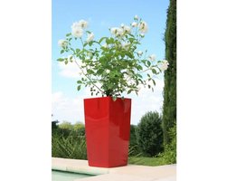 Bloempot Riviera Rood Plastic Vierkant 29 x 29 x 52 cm 29 x 29 cm