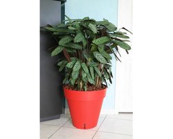 Bloempot Riviera Rood Polypropyleen Cirkelvormig Klot Ø 50 cm