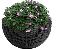 Bloempot voor aan de muur - Wandplantenbak Zelfbewaterend - Verticale Tuin Creëren - Halfronde Rotan Stijl