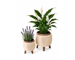 Bloempot voor Binnen - Beige & Bruin - Geribbeld Design - Scandinavische Woondecoratie - Op Pootjes