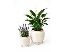 Bloempot voor Binnen - Beige & Gebroken wit- Geribbeld Design - Scandinavische Woondecoratie - Op Pootjes