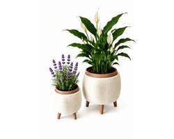 Bloempot voor Binnen - Gebroken wit & Bruin - Geribbeld Design - Scandinavische Woondecoratie - Op Pootjes