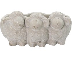 Bloempot voor Binnen – Grijs – Rustieke Pot – 26x20x12 cm – Steen – Schapenmotief