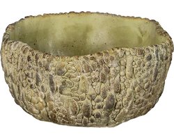 Bloempot voor Binnen – Groen – Rustieke Pot – 22x21x11 cm – Steen – Hoofdmotief