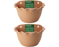 Bloempot voor Regenpijp - Wandplanter Hangend - Tuin Decoratie - Zelfwaterend Systeem - 2 stuks - Multicolor