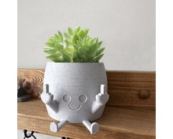 Bloempot voor vetplanten - lachend plantenpotje - middelvinger ontwerp - decoratie voor binnen en buiten - ShopVlot
