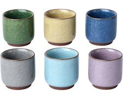 Bloempotjes Binnen - Keramiek - Set van 6 - ø 6.3cm - Ijs-Effect Decoratieve Plantenpotjes met Schotel - Mini Bloempot voor Succulenten en Cactussen - Kleurrijk Design