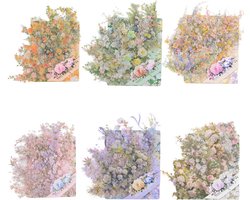 Bloemrand Sticker Set - 60 stuks PET Transparante Vintage Natuur Stickers voor Tijdschriften en Plakboeken