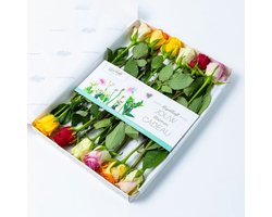 BloomGift | Brievenbus bloemen | Gemengde rozen | 12 stelen | Vers van de Kweker