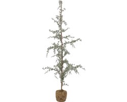 Bloomingville - Decoratie - Ceder - Kerstboom - H150cm