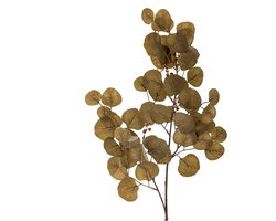 Bloomingville – Eucalyptus bruin – 29 x 86 x 29 cm