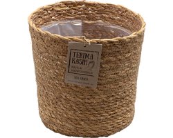 Bloomique - Mand Lux – Zeegras – Terami Kasih – – 20-25 cm - Pot 21 cm