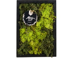 Bloomique - Mosschilderij - Rechthoek - Onderhoudsvrij - Muurdecoratie - Gemaakt van echt Mos - 17 cm x 24 cm