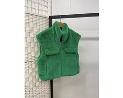 Bodywarmer Teddy - Groen