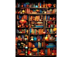 Boekenkast voor Diamond Painting voor Volwassenen - 5D DIY Ronde Steen Kunstset met Beelden voor Beginners en Kinderen - Creatieve Hobby voor Thuis