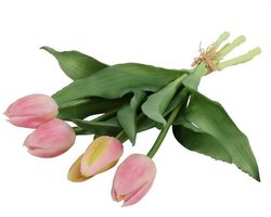 Boeket Tulpen Roze 5 stuks - Net echt - Countryfield Kunst boeket Tulipa 3D S roze/crème-L15B15 - Hoogte 29CM
