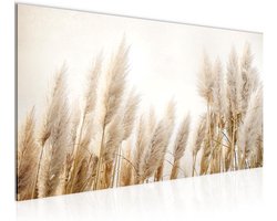 Boho Pampasgras Schilderij op Fleece Canvas - Moderne Beige Wanddecoratie voor Woonkamer
