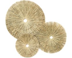 Boho Wanddecoratie Set - Handgemaakte Rieten Manden voor Thuis en Kantoor - Set van 3 - Eenvoudig op te Hangen - Duurzaam Zeegras