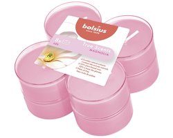 Bolsius Magnolia - Geur maxi waxinelichten - 8 Stuks