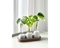 BOLTO Stekhouder Donkerbruin – Stekjesstation met 3 Glazen Reageerbuisjes – Kamerplanten Stekken – Monstera Pothos – Planten Cadeau Urban Jungle