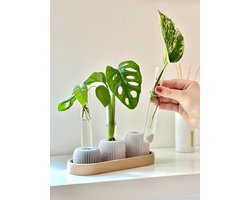 BOLTO Stekhouder met Reageerbuisjes – Stekjes station voor Monstera & Pothos – Kweekstation Kamerplanten – Urban Jungle Cadeau