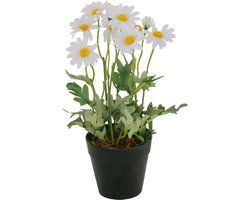 Boltze Home Potplant Kamille 15x15x28cm