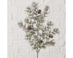 Boltze - Winter - Tak - Kerst - Dennenappels - Decoratie - 50x24cm - Groen - Kunststof
