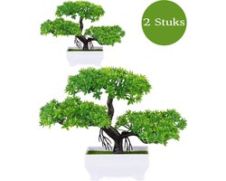 Boncy® Premium Bonsai Kunstplant in pot - 2 stuks Kunstplanten - Nep planten voor Binnen en Buiten - Kamer Decoratie - Nepplanten Kunst plant Boompje - Kunstbloemen