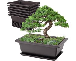 Bonsai Potten - Bloempotten - Planten Kweken - Met Opvangbakjes - 6 Stuks - Groen