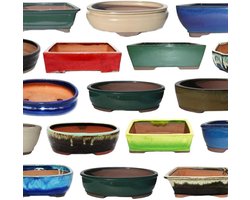 Bonsai Schaal Maat 5 - Speciale Aanbieding Unieke Vorm en Kleur - Ca. 30 cm