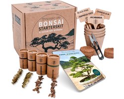 Bonsai Starters Kit met Uitgebreide Instructies – Bonsai Zaden Kit – Binnen Boompje Kweken – Kamerplanten – Kweekset Cadeau - Geschenkset