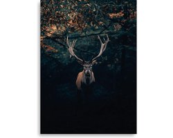 BONT | Poster rendier - Hert - Winter - Kerst - Rendier in bos - Dieren - Landelijk - Rendieren - 50x70 cm
