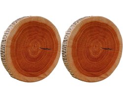 Boomstam Kussen - Houten Kussen - Interieur Decoratie - Realistische Print - 39 cm - Naturel
