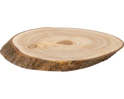 boomstamschijf , echt hout , snede boomstam 26 x 16 cm