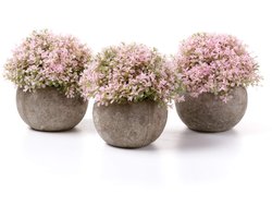 Boraboi® Realistische Kunstmatige Planten Set voor Binnenhuisdecoratie met Stijlvolle Mini Potten