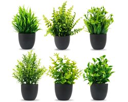 Boraboi® Set van 6 decoratieve kleine kunstplanten in pot voor elke ruimte in huis of kantoor